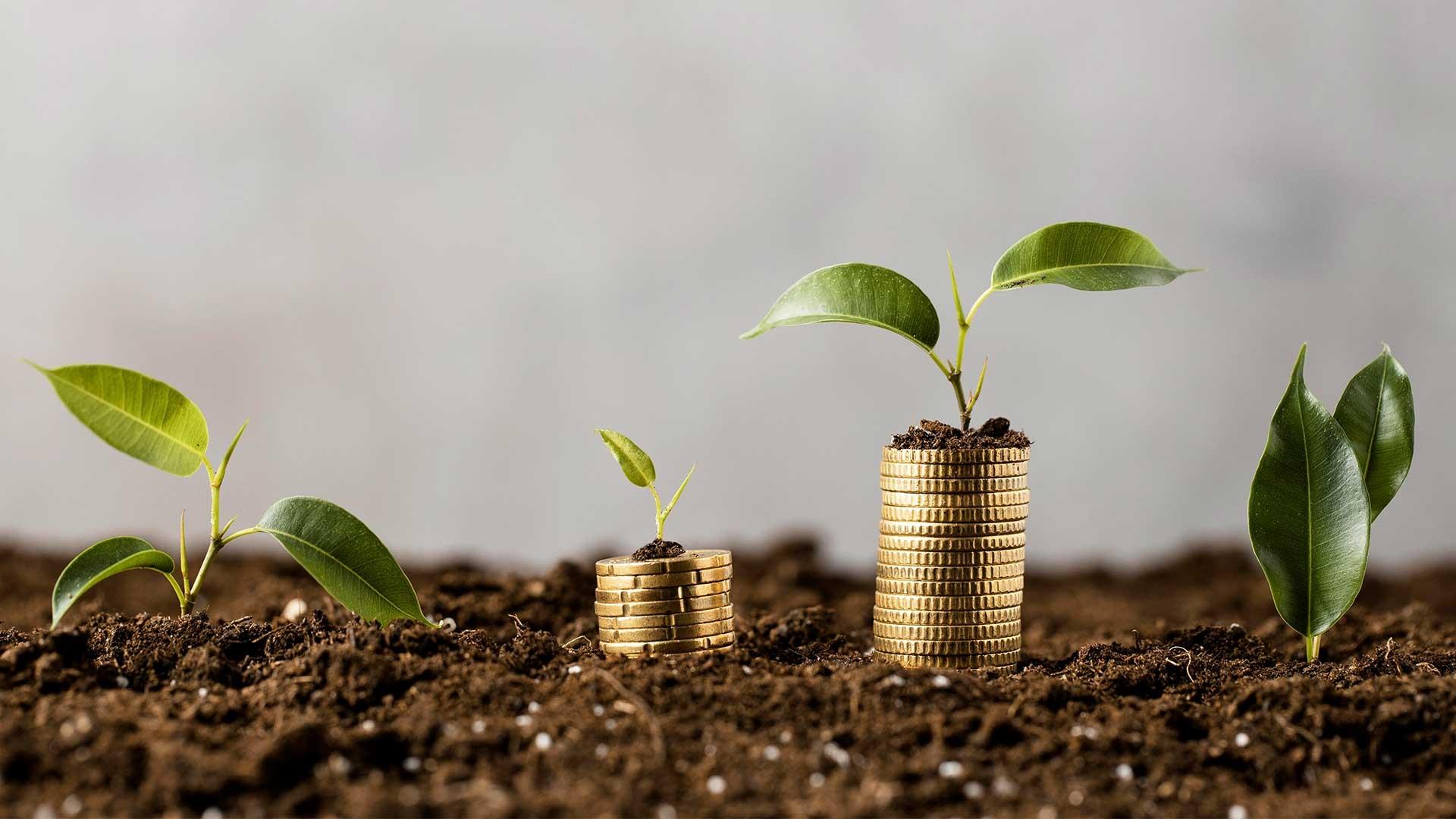 الصدقة في القران